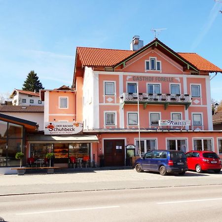 Hotel Gasthof Forelle Зігсдорф Екстер'єр фото